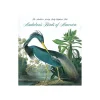 Birds of America - Tiny Folio