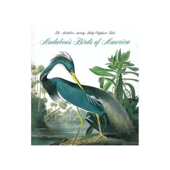 Birds of America - Tiny Folio