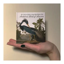 Birds of America - Tiny Folio