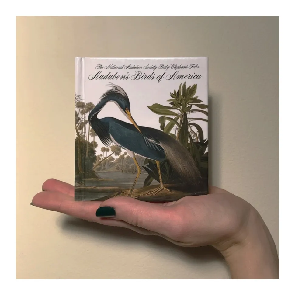 Birds of America - Tiny Folio