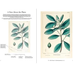The Trees of North America